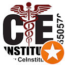 CE Institute Avatar